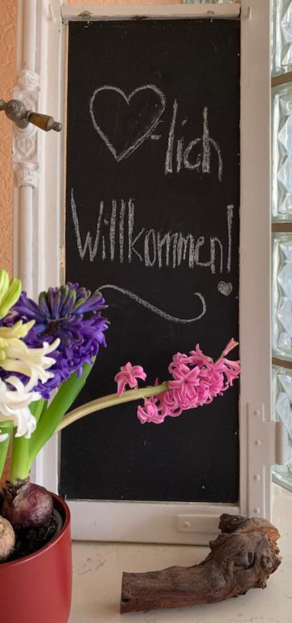 Ferienwohnung Birka Speyer Eksteriør billede